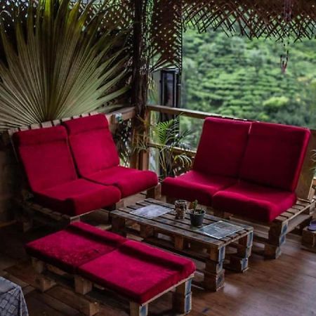 Tree House Cafe Ella Hostel Εξωτερικό φωτογραφία