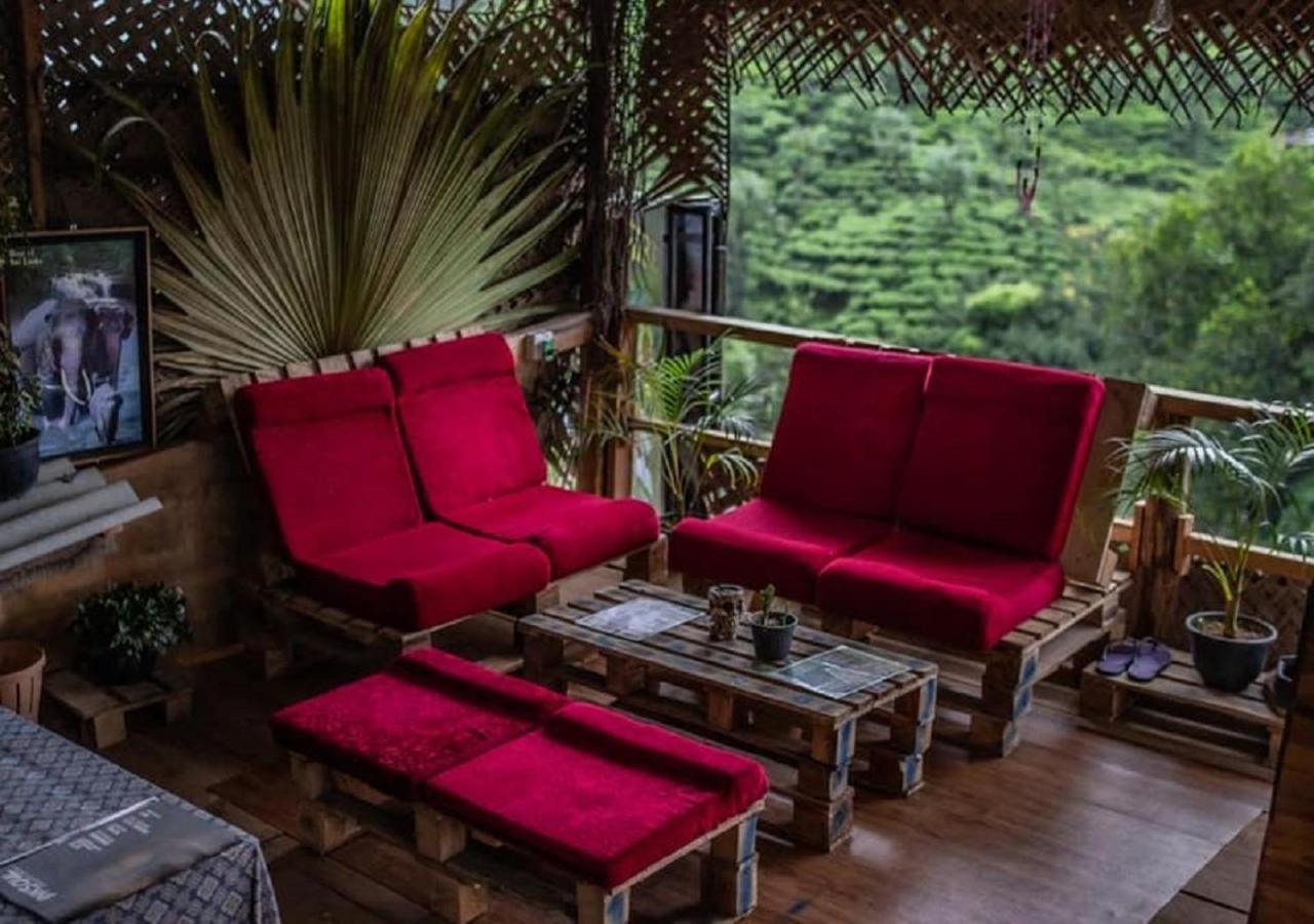 Tree House Cafe Ella Hostel Εξωτερικό φωτογραφία