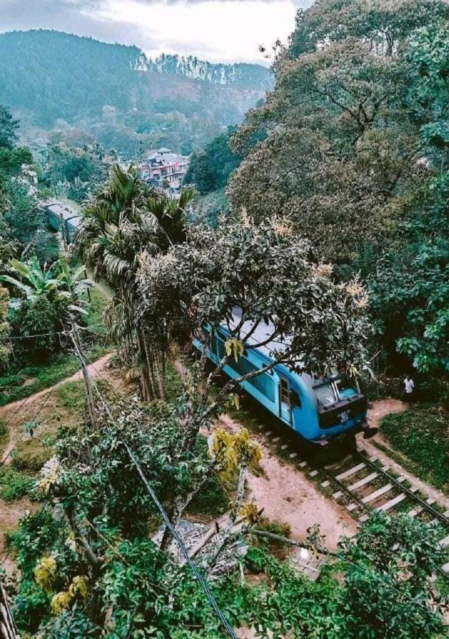 Tree House Cafe Ella Hostel Εξωτερικό φωτογραφία